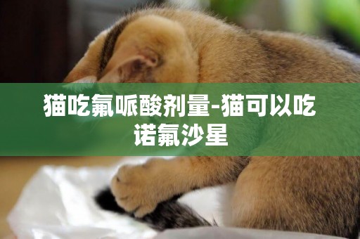 貓吃氟哌酸劑量-貓可以吃諾氟沙星