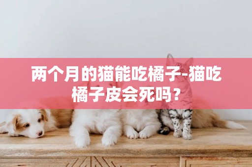 兩個月的貓能吃橘子-貓吃橘子皮會死嗎？