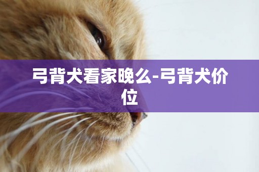 弓背犬看家晚么-弓背犬價位