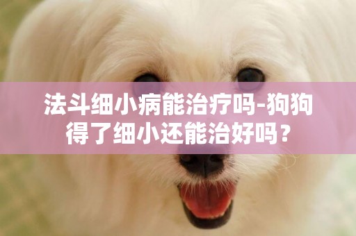 法斗細小病能治療嗎-狗狗得了細小還能治好嗎？
