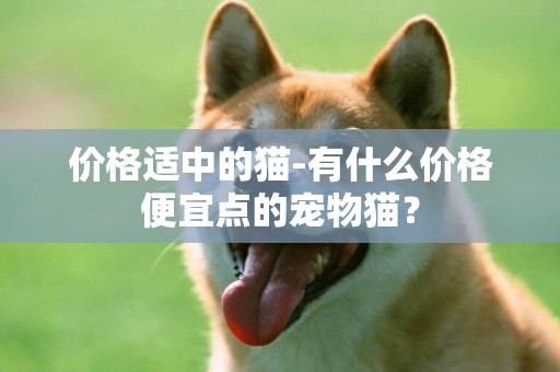 價格適中的貓-有什么價格便宜點的寵物貓？