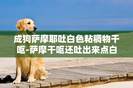成狗薩摩耶吐白色粘稠物干嘔-薩摩干嘔還吐出來點白色粘稠沫