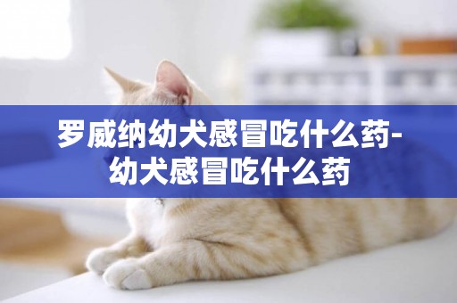 羅威納幼犬感冒吃什么藥-幼犬感冒吃什么藥