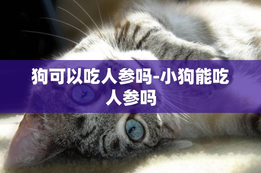 狗可以吃人參嗎-小狗能吃人參嗎