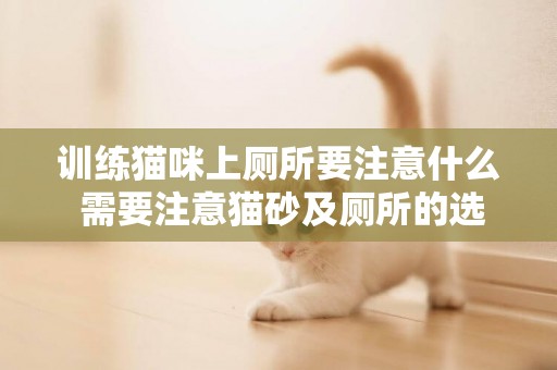 訓練貓咪上廁所要注意什么 需要注意貓砂及廁所的選擇 訓練貓咪上廁所要注意什么 需要注意貓砂及廁所的選擇