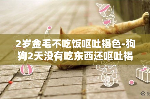 2歲金毛不吃飯嘔吐褐色-狗狗2天沒有吃東西還嘔吐褐色的東西還會發抖