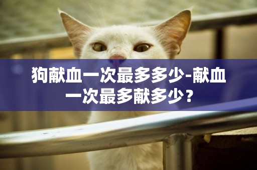 狗獻血一次最多多少-獻血一次最多獻多少？