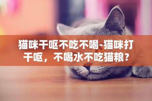 貓咪干嘔不吃不喝-貓咪打干嘔，不喝水不吃貓糧？