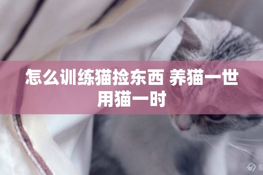 怎么訓練貓撿東西 養貓一世用貓一時