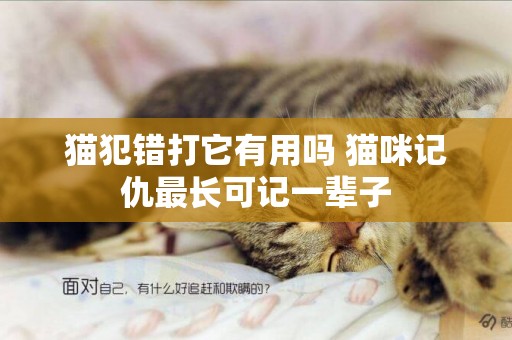 貓犯錯打它有用嗎 貓咪記仇最長可記一輩子
