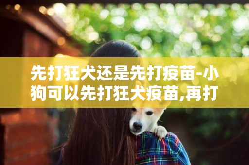 先打狂犬還是先打疫苗-小狗可以先打狂犬疫苗,再打六聯疫苗嗎？