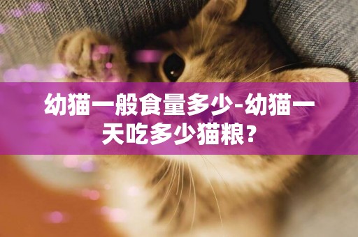 幼貓一般食量多少-幼貓一天吃多少貓糧？