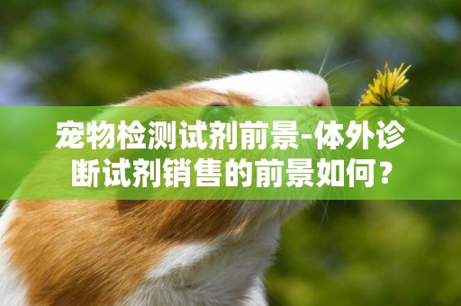 寵物檢測試劑前景-體外診斷試劑銷售的前景如何？