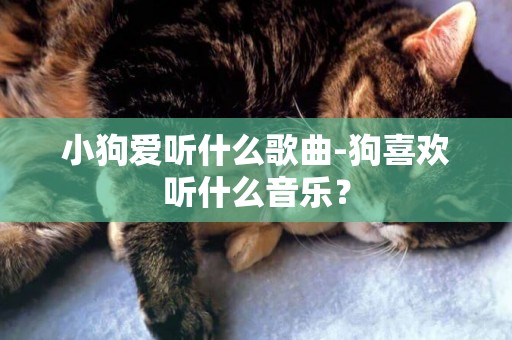 小狗愛聽什么歌曲-狗喜歡聽什么音樂？