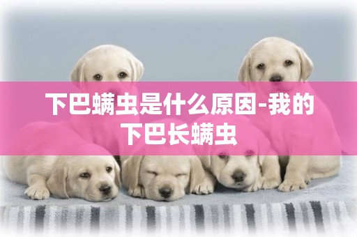 下巴螨蟲是什么原因-我的下巴長螨蟲