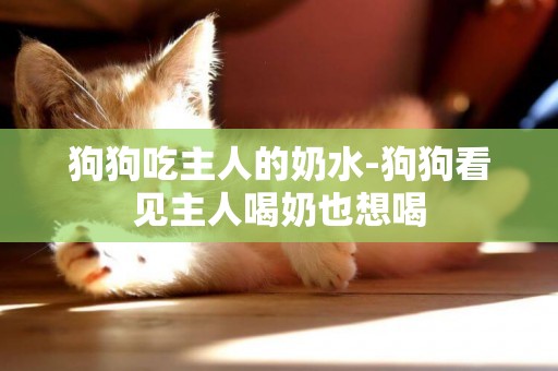 狗狗吃主人的奶水-狗狗看見主人喝奶也想喝