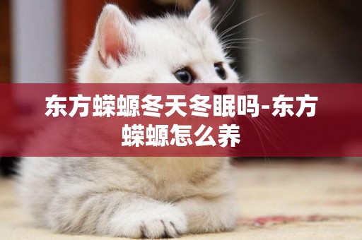 東方蠑螈冬天冬眠嗎-東方蠑螈怎么養