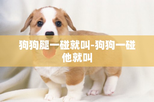 狗狗腿一碰就叫-狗狗一碰他就叫
