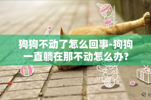 狗狗不動了怎么回事-狗狗一直躺在那不動怎么辦？