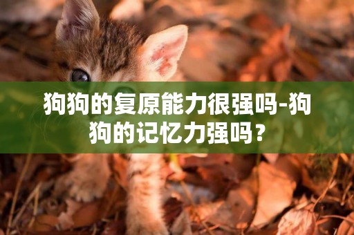 狗狗的復原能力很強嗎-狗狗的記憶力強嗎？