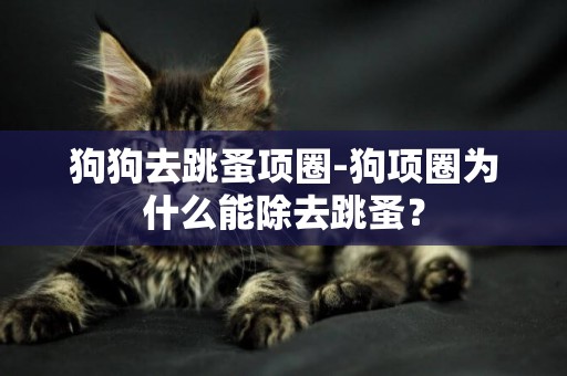 狗狗去跳蚤項圈-狗項圈為什么能除去跳蚤？