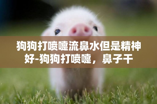 狗狗打噴嚏流鼻水但是精神好-狗狗打噴嚏，鼻子干