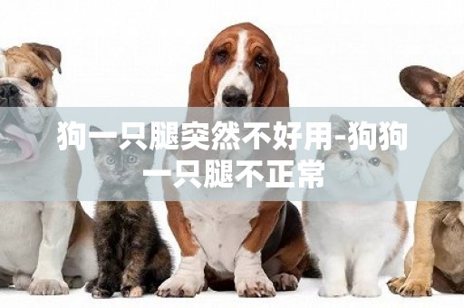 狗一只腿突然不好用-狗狗一只腿不正常