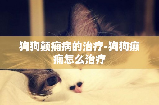 狗狗顛癇病的治療-狗狗癲癇怎么治療