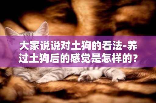 大家說說對土狗的看法-養過土狗后的感覺是怎樣的？