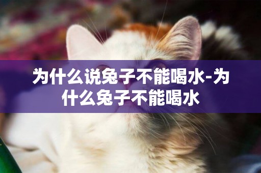 為什么說兔子不能喝水-為什么兔子不能喝水