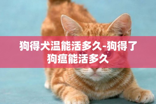 狗得犬溫能活多久-狗得了狗瘟能活多久