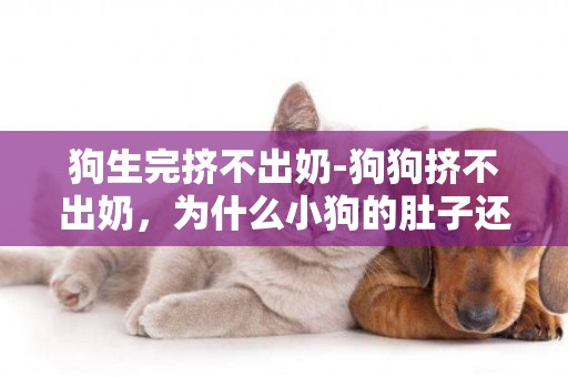 狗生完擠不出奶-狗狗擠不出奶，為什么小狗的肚子還有點鼓？
