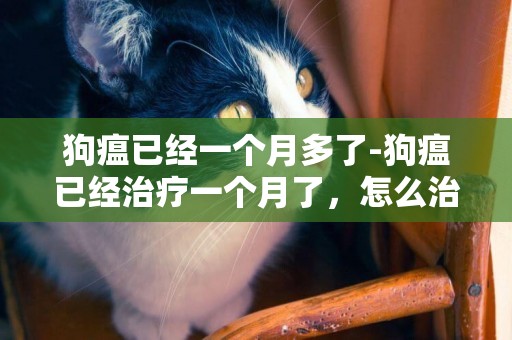 狗瘟已經一個月多了-狗瘟已經治療一個月了，怎么治