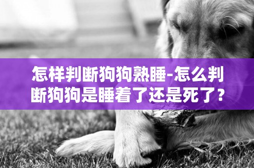 怎樣判斷狗狗熟睡-怎么判斷狗狗是睡著了還是死了？