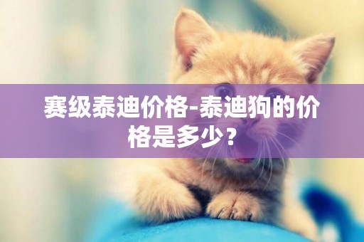 賽級泰迪價格-泰迪狗的價格是多少？