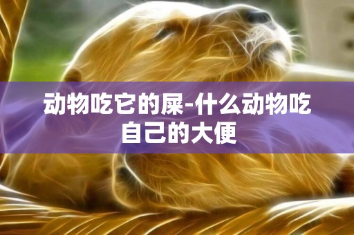 動物吃它的屎-什么動物吃自己的大便