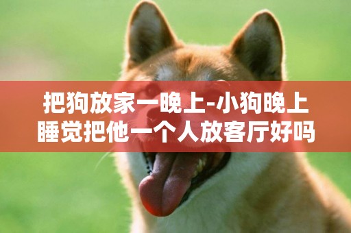 把狗放家一晚上-小狗晚上睡覺把他一個人放客廳好嗎