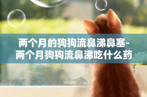 兩個月的狗狗流鼻涕鼻塞-兩個月狗狗流鼻涕吃什么藥好