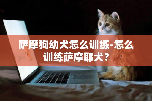 薩摩狗幼犬怎么訓練-怎么訓練薩摩耶犬？