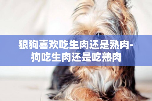 狼狗喜歡吃生肉還是熟肉-狗吃生肉還是吃熟肉