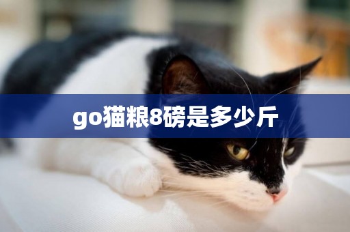 go貓糧8磅是多少斤