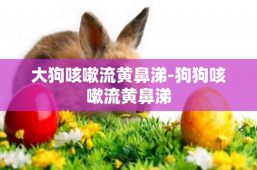 大狗咳嗽流黃鼻涕-狗狗咳嗽流黃鼻涕