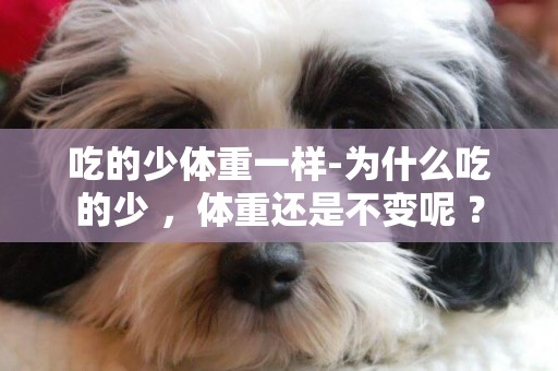 吃的少體重一樣-為什么吃的少 ，體重還是不變呢 ？