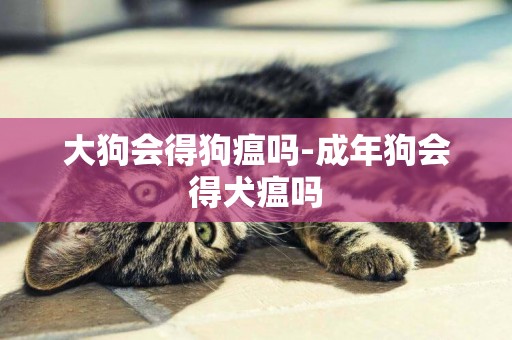 大狗會得狗瘟嗎-成年狗會得犬瘟嗎