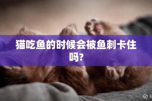 貓吃魚的時候會被魚刺卡住嗎?