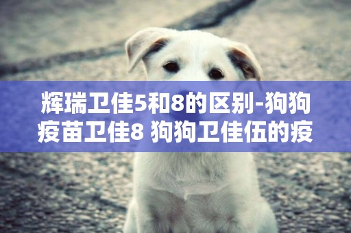 輝瑞衛佳5和8的區別-狗狗疫苗衛佳8 狗狗衛佳伍的疫苗好嗎