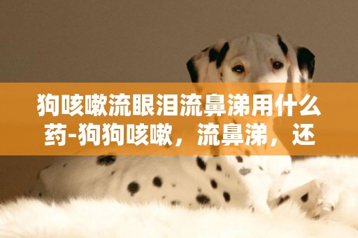 狗咳嗽流眼淚流鼻涕用什么藥-狗狗咳嗽，流鼻涕，還流眼淚
