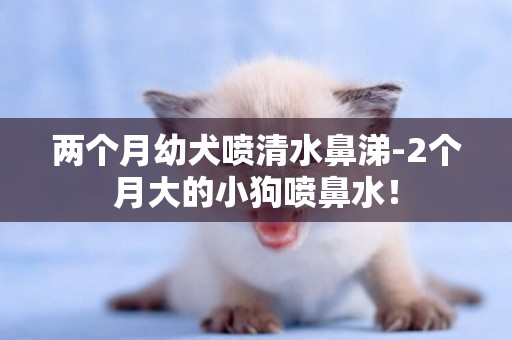 兩個月幼犬噴清水鼻涕-2個月大的小狗噴鼻水！