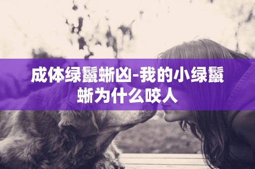 成體綠鬣蜥兇-我的小綠鬣蜥為什么咬人