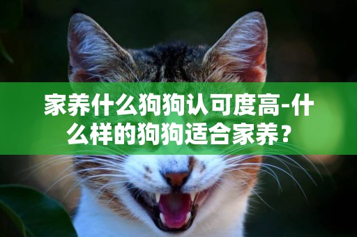 家養什么狗狗認可度高-什么樣的狗狗適合家養？